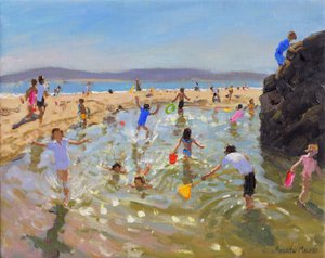 Getijdenpoel, Tenby, 2016