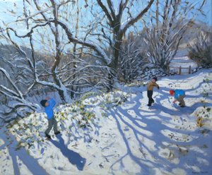 Sneeuwballengevecht, 2007 door Andrew Macara
