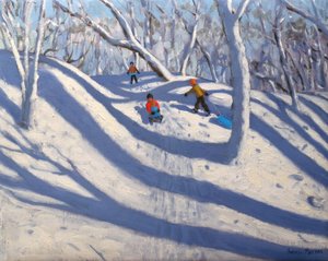 Winter, Bramcote, Nottingham, 2009 door Andrew Macara