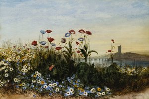 Ferry Carrig Castle, Co. Wexford, gezien door een bank van wilde bloemen door Andrew Nicholl