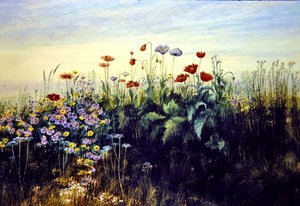 Wilde bloemen door Andrew Nicholl