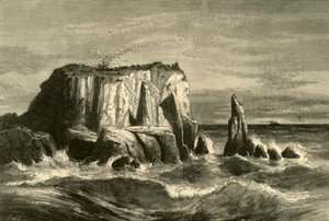 Kustscène, Marin County, 1872 door Andrew Varick Stout Anthony