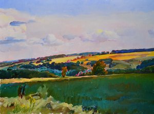 Landschap met glooiende velden door Andrii Kutsachenko