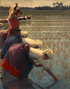 De Mondine (Italiaanse vrouwelijke rijstwerkers)