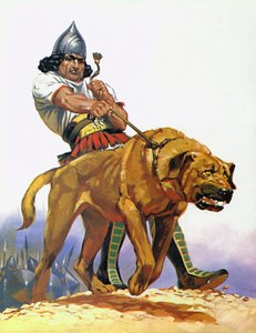 Assyrische strijdhond (kleurenlitho)
