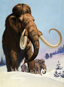 Mammoeten uit de ijstijd door Angus McBride