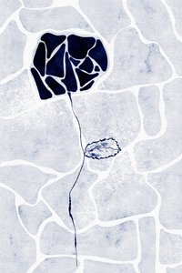 Abstracte blauwe roos door Ankie Kooi