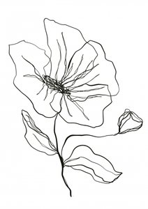 Fijne bloemenschets