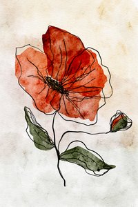 Rode aquarelpapaver