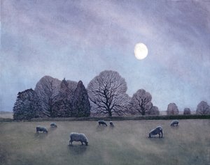 Maanverlichte nacht, 2004 door Anna Phillips