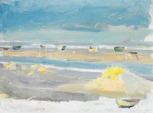 Boten op het strand, Skagen.