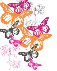 Vlinder