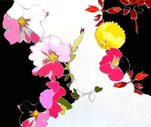 Chinese tuin