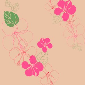 Hibiscus