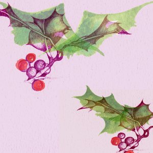 Hulst door Anna Platts