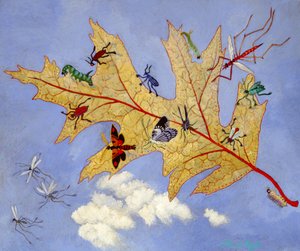 Herfstblad, 2009 (acryl) door Anna Pugh