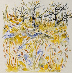 Vos in het bos, 2023 (aquarel)