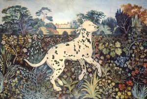 Sophie door Anna Pugh