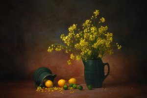 Gele bloemen en citroenen door Anna Wan