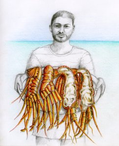 Langoest, 2019