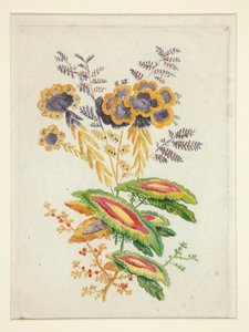 Fantastische bloemen, uit Nieuwe Suite van Notitieboekjes van Ideale Bloemen voor het Gebruik van Ontwerpers en Schilders door Anne Allen