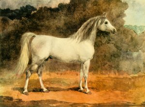 Een beroemde Arabische hengst, ca. 1870s, 1944