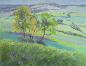 Naar Winchelsea, Sussex, met blauwe bloemen in de lente