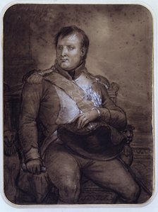 Napoleon I in Saint-Cloud, 1812 door Anne Louis Girodet de Roucy Trioson