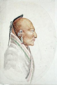 Cachasunghia, hoofd van de Kleine Osage door Anne Marguerite Hyde de Neuville