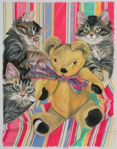 Kittens en teddybeer