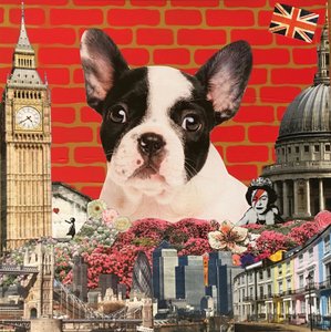 Knuffel mijn Franse Bulldog door Anne Storno