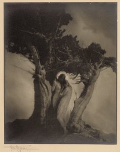 Het hart van de storm door Anne W. Brigman
