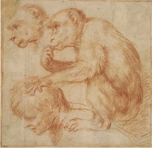 Carracci - Een aap op de schouders van een man in profiel naar links en een studie van zijn gezicht, studie voor een schilderij Rood krijt, Ff,2.115