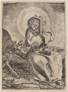 Sint Franciscus van Assisi