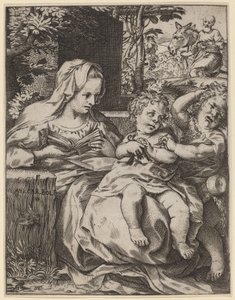 De Madonna van de Zwaluw (La Madonna Della Rondinella) door Annibale Carracci