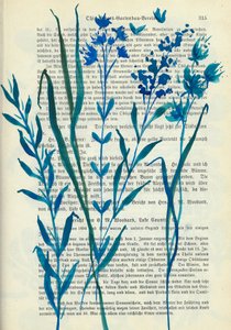 Blauwe bloemen – Oude tekst door Annick