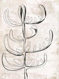 Biologische botanische schets door Annick