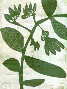 Biologische groene plantaardige ingrediënten