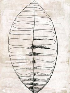 Biologische blad-lijntekeningen