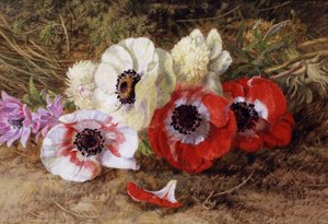  door Annie Feray Mutrie