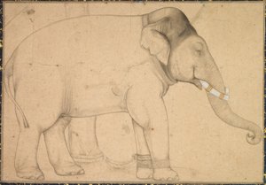 Tekening van een olifant
