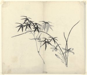 Bamboe en Orchideeën door Anonymous