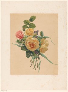 Bos rozen en violen