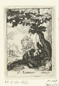 De boetvaardige Johannes de Doper door Anonymous