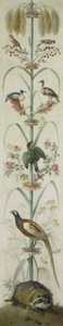 Decoratieve Afbeelding met Planten en Dieren door Anonymous