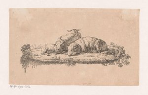Drie liggende schapen