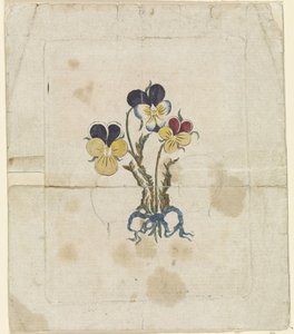 Drie viooltjes met silhouetportretten van Willem V, prins van Oranje-Nassau, Wilhelmina van Pruisen en Frederik Willem II, koning van Pruisen door Anonymous