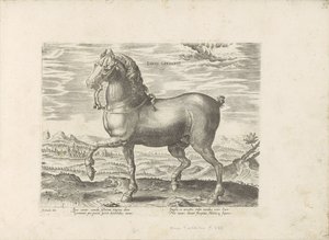 Duits paard
