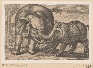 Een neushoorn vecht met een olifant door Anonymous