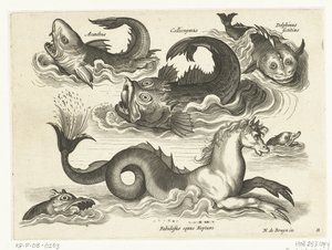 Fantastische waterdieren, onder andere zeepaard (series title) door Anonymous
